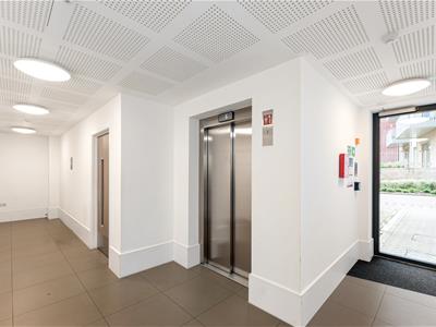 Picture 25